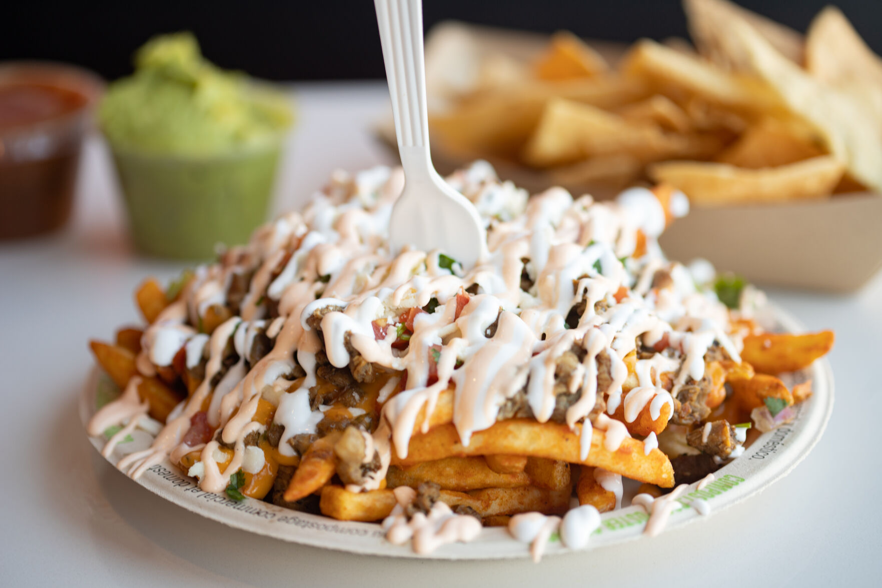 Locoz Tacoz fries